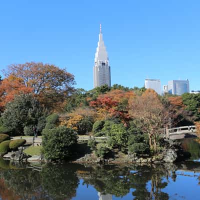 Shinjuku Gyoen Garden, Japan
