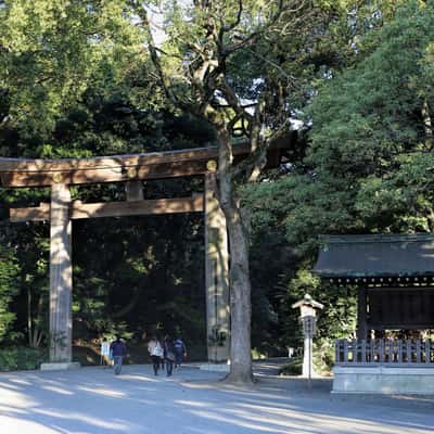 Meiji Shrine, Tokyo, Japan