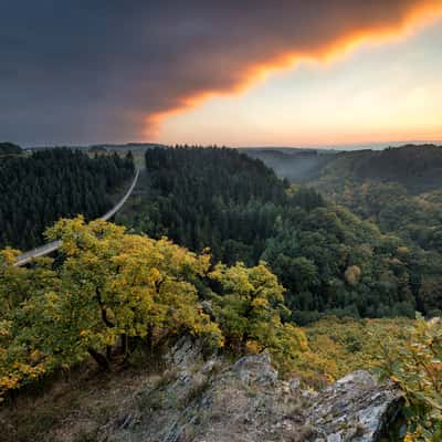 Germanys longest rope bridge Geierlay, Germany