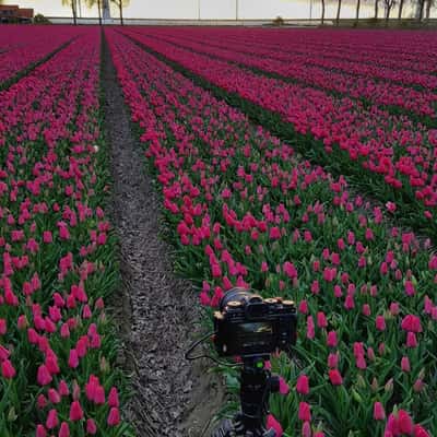 <b>Behind the Scenes</b> | photo was taken at 22.04.2017, 20:01 by <a href="/@robertmay">Robert May</a>