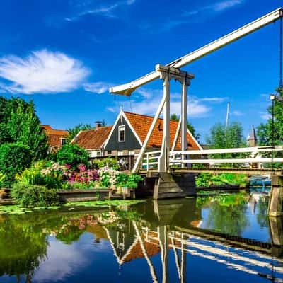 Edam