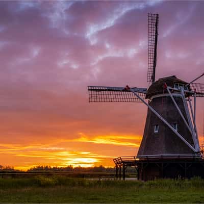 Zwolle