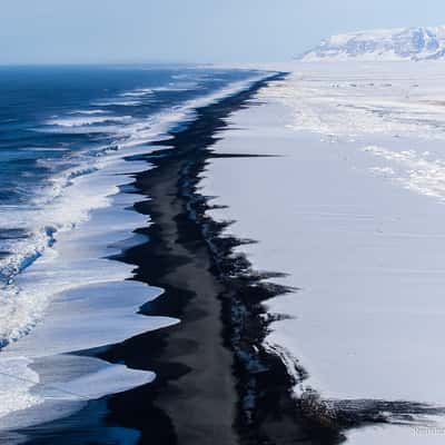 The Endless Black Beach from Dyrhólaey Viewpoint, Iceland