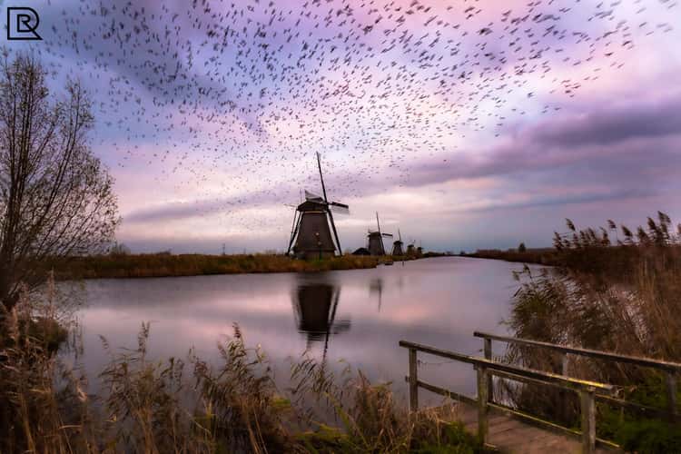 Windmills, Kinderdijk UNESCO World Heritage