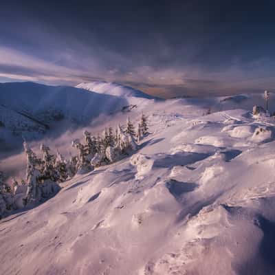 Low Tatras NP, Slovakia (Slovak Republic)